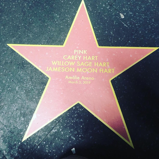 Pink, Family, Star, Tour